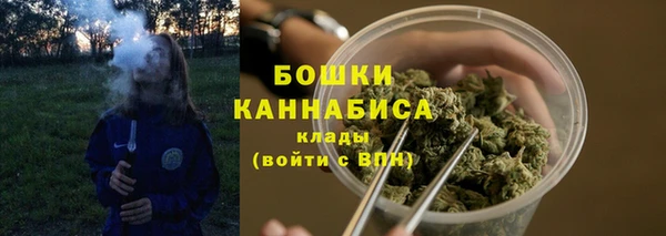 mix Козельск