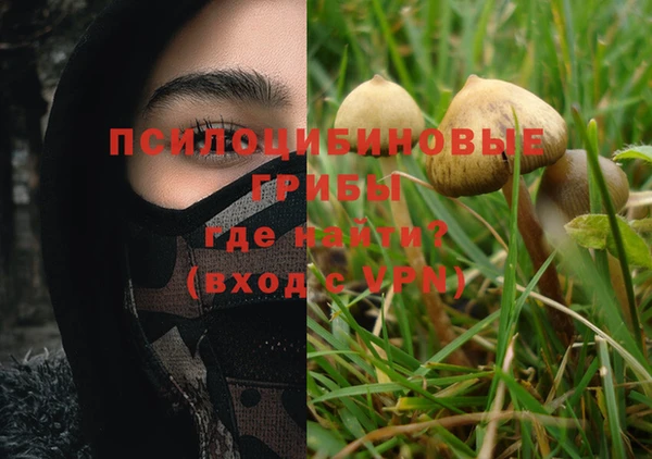 mix Козельск