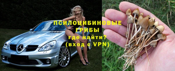 ГАЛЛЮЦИНОГЕННЫЕ ГРИБЫ Каменногорск