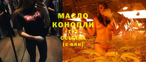 ПСИЛОЦИБИНОВЫЕ ГРИБЫ Каменка