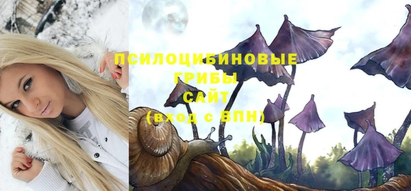 mix Козельск