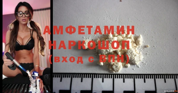 ПСИЛОЦИБИНОВЫЕ ГРИБЫ Каменка