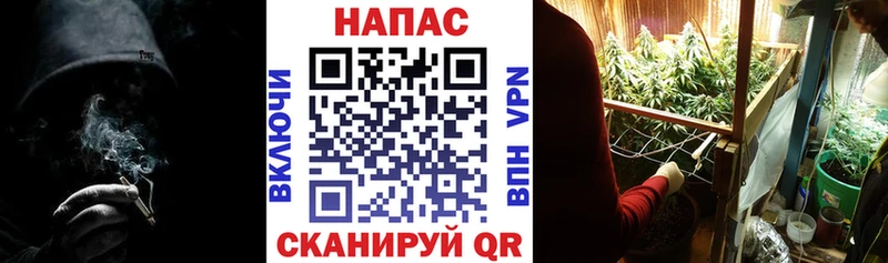 Марихуана THC 21%  Купить  Курганинск 